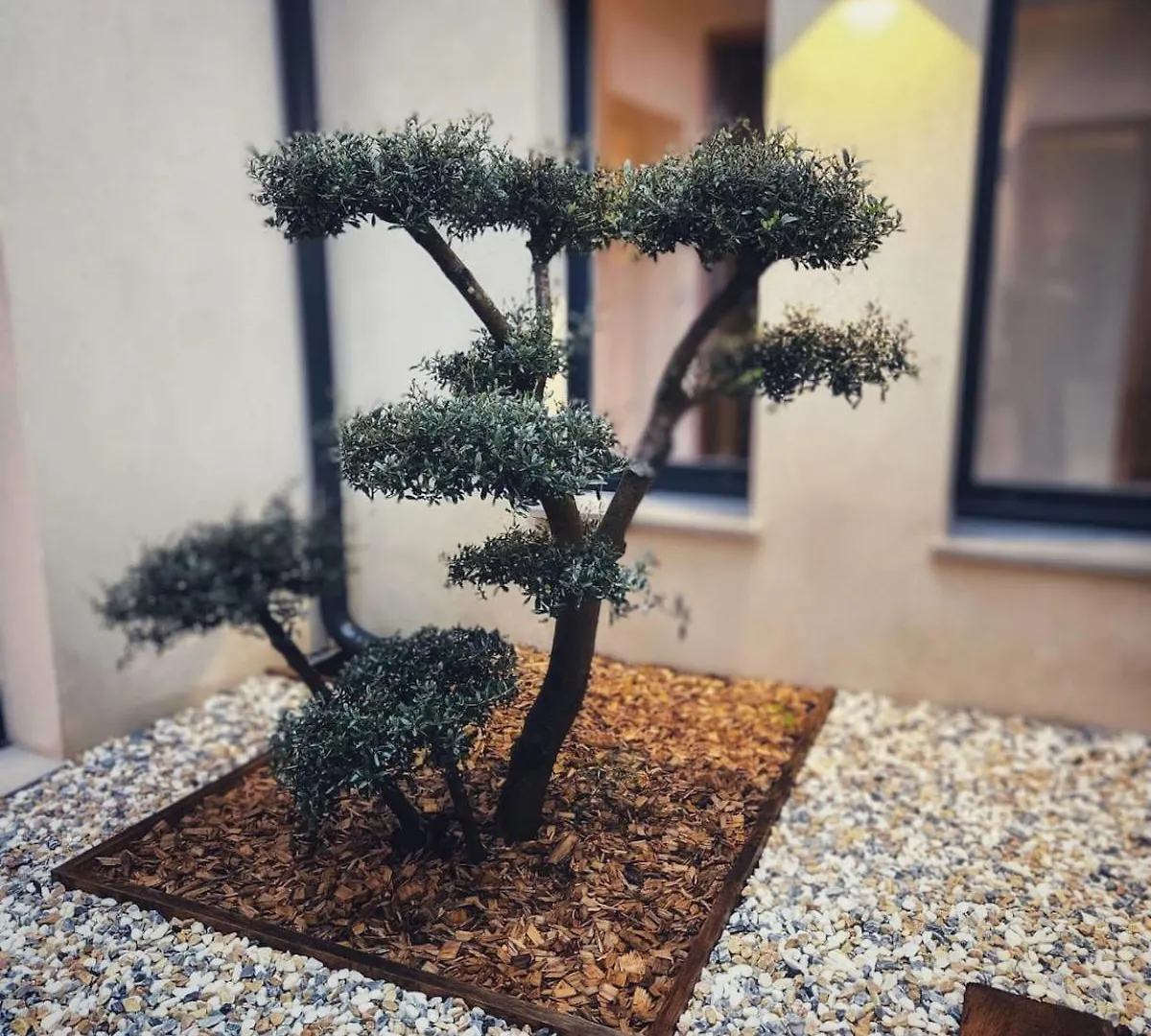 Maison B Saint-Paul 8 Visiteurs 0*, סן-פול-דה-ואנס צרפת